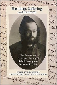 bokomslag Hasidism, Suffering, and Renewal