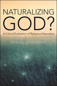 bokomslag Naturalizing God?
