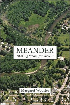 Meander 1