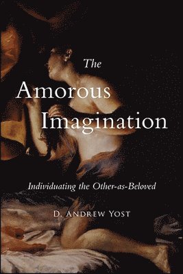 bokomslag Amorous Imagination