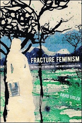 bokomslag Fracture Feminism