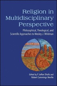bokomslag Religion in Multidisciplinary Perspective