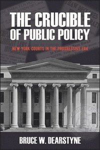 bokomslag The Crucible of Public Policy