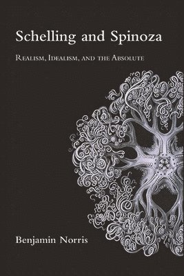 Benjamin Norris - Schelling and Spinoza, Häftad