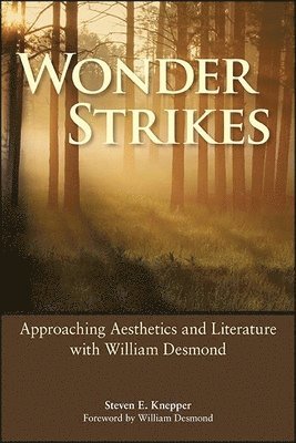 Steven E. Knepper - Wonder Strikes, Häftad