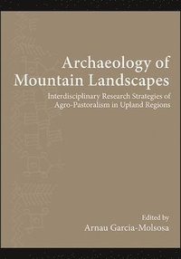 bokomslag Archaeology of Mountain Landscapes