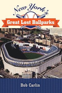 bokomslag New York's Great Lost Ballparks