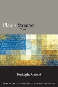 bokomslag Plato's Stranger