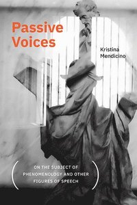 bokomslag Passive Voices (On the Subject of Phenomenology and Other Figures of Speech)