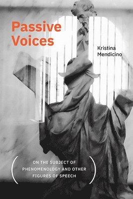 Kristina Mendicino - Passive Voices (On the Subject of Phenomenology and Other Figures of Speech), Häftad