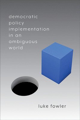 bokomslag Democratic Policy Implementation in an Ambiguous World