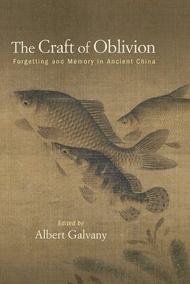 bokomslag Craft of Oblivion
