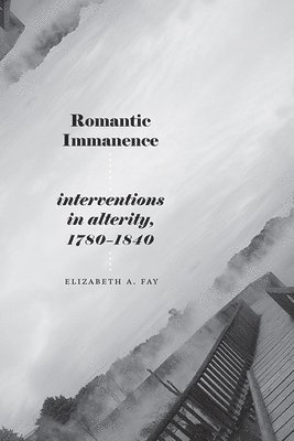 Romantic Immanence 1
