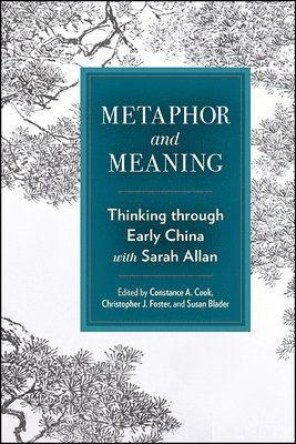 bokomslag Metaphor and Meaning: Thinking Through Early China with Sarah Allan