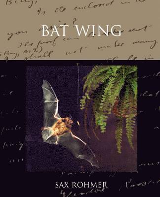 bokomslag Bat Wing