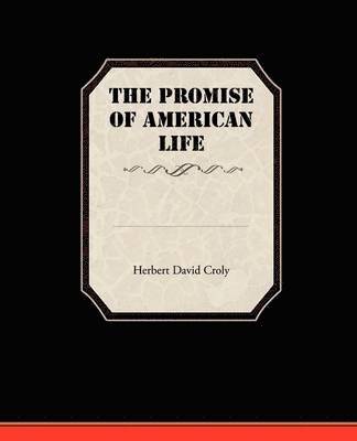 bokomslag The Promise Of American Life