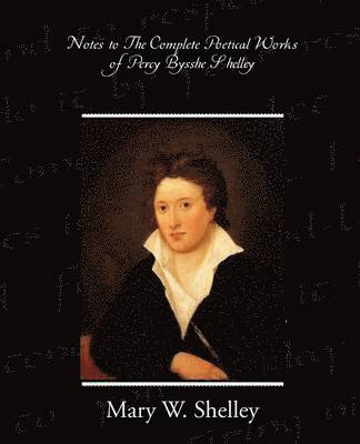 bokomslag Notes to the Complete Poetical Works of Percy Bysshe Shelley