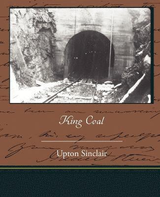 bokomslag King Coal