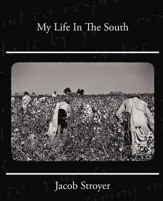 Jacob Stroyer - My Life In The South, Häftad