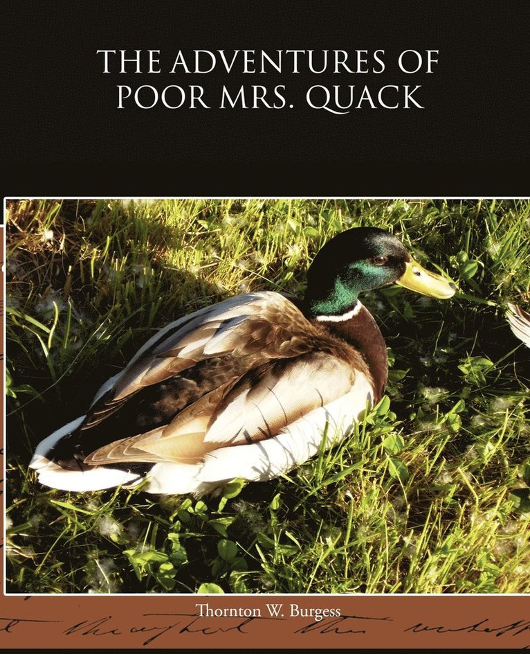 Adventures of Poor Mrs Quack