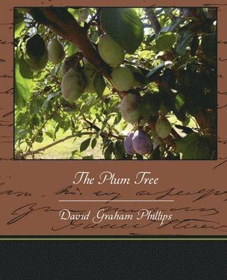 The Plum Tree 1