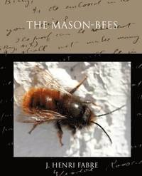 bokomslag The Mason-bees