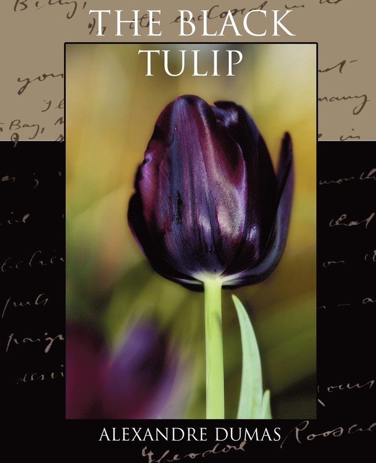 The Black Tulip 1