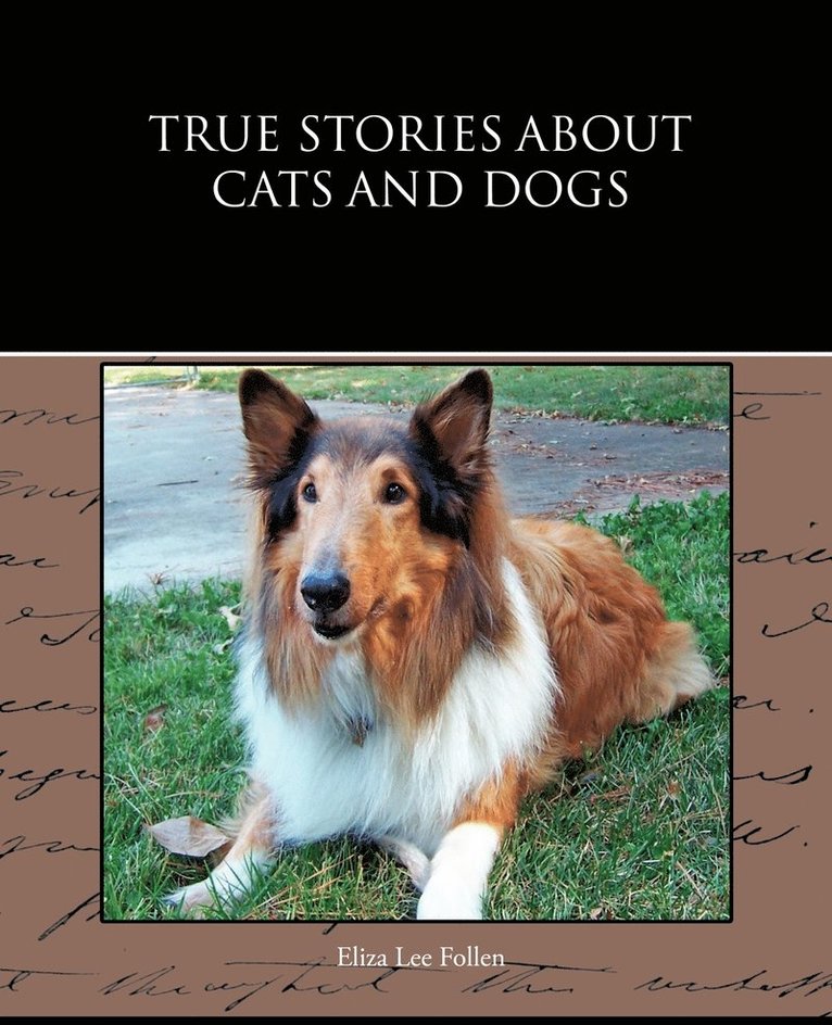 True Stories about Cats and Dogs 1