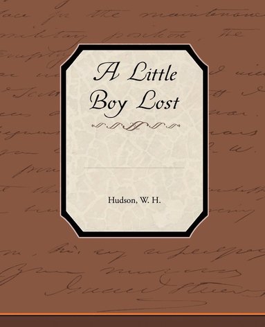 bokomslag Little Boy Lost