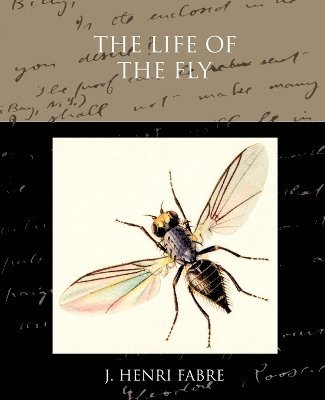 The Life of the Fly 1