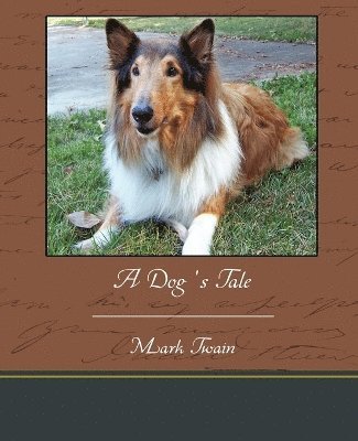 A Dog's Tale 1