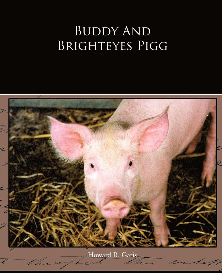 Buddy And Brighteyes Pigg 1