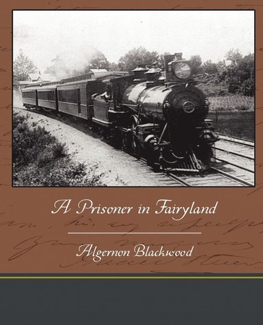 bokomslag Prisoner in Fairyland