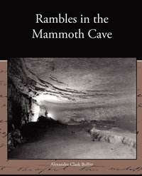 bokomslag Rambles in the Mammoth Cave