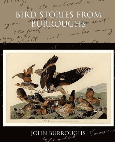 bokomslag Bird Stories from Burroughs