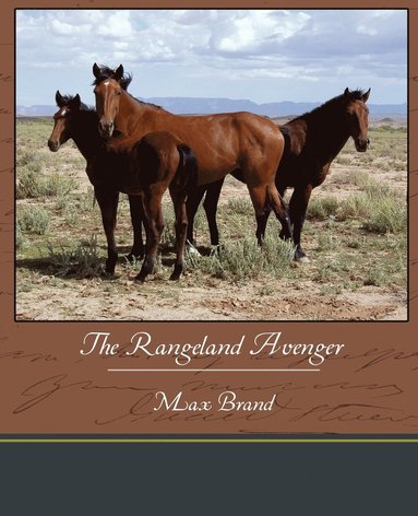 bokomslag The Rangeland Avenger