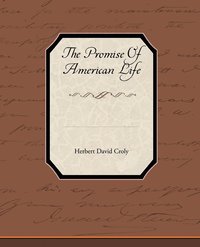 bokomslag The Promise of American Life