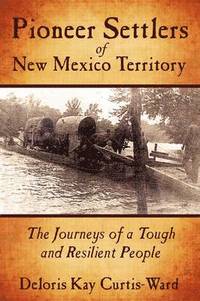 bokomslag Pioneer Settlers of New Mexico Territory