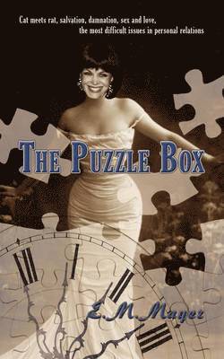 bokomslag The Puzzle Box