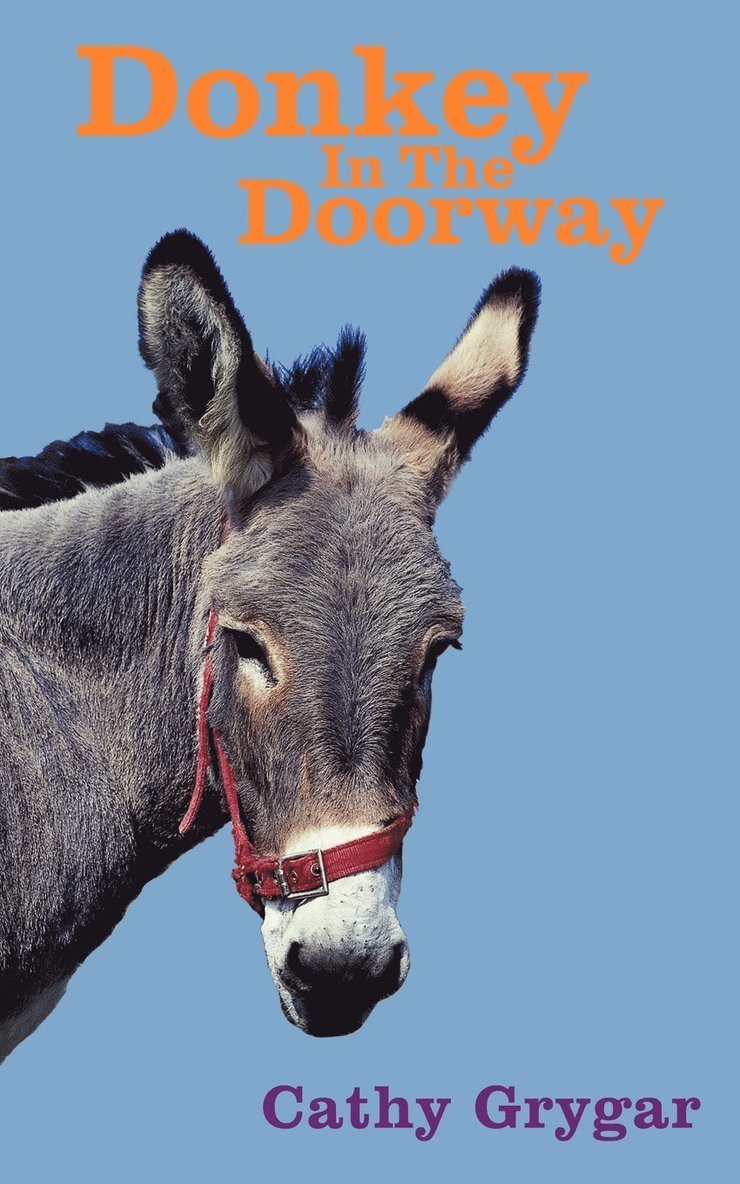 Donkey In The Doorway 1