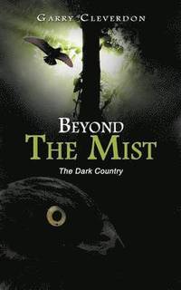 bokomslag Beyond The Mist