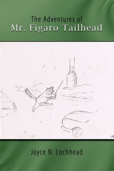 bokomslag The Adventures of Mr. Figaro Tailhead