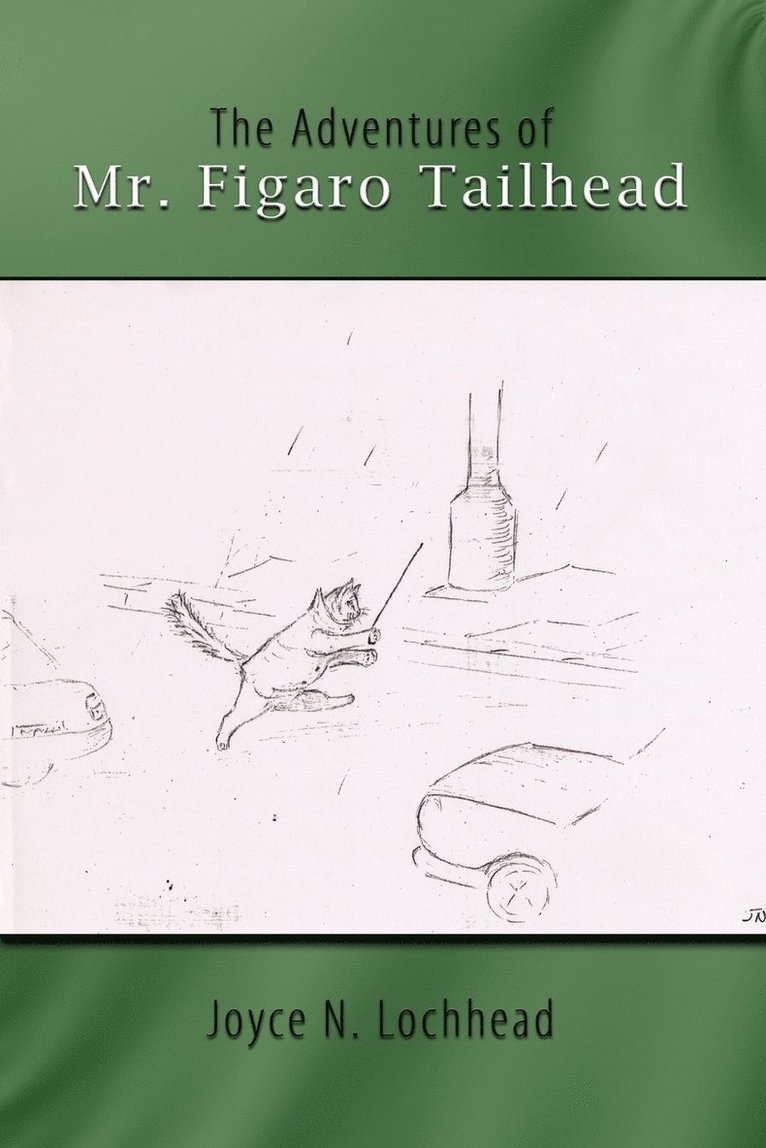 Joyce N. Lochhead - Adventures of Mr. Figaro Tailhead, Häftad