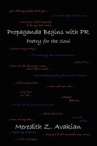 bokomslag Propaganda Begins with PR