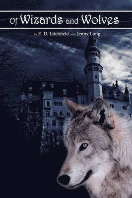 Of Wizards and Wolves 1