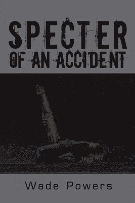 bokomslag Specter of an Accident