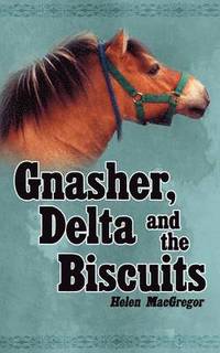 bokomslag Gnasher, Delta and the Biscuits