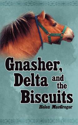 Gnasher, Delta and the Biscuits 1