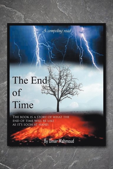 bokomslag End of Time
