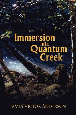 bokomslag Immersion into Quantum Creek